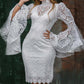 Cross-border European And American Women's Lace Embroidery Flared Sleeve Dress